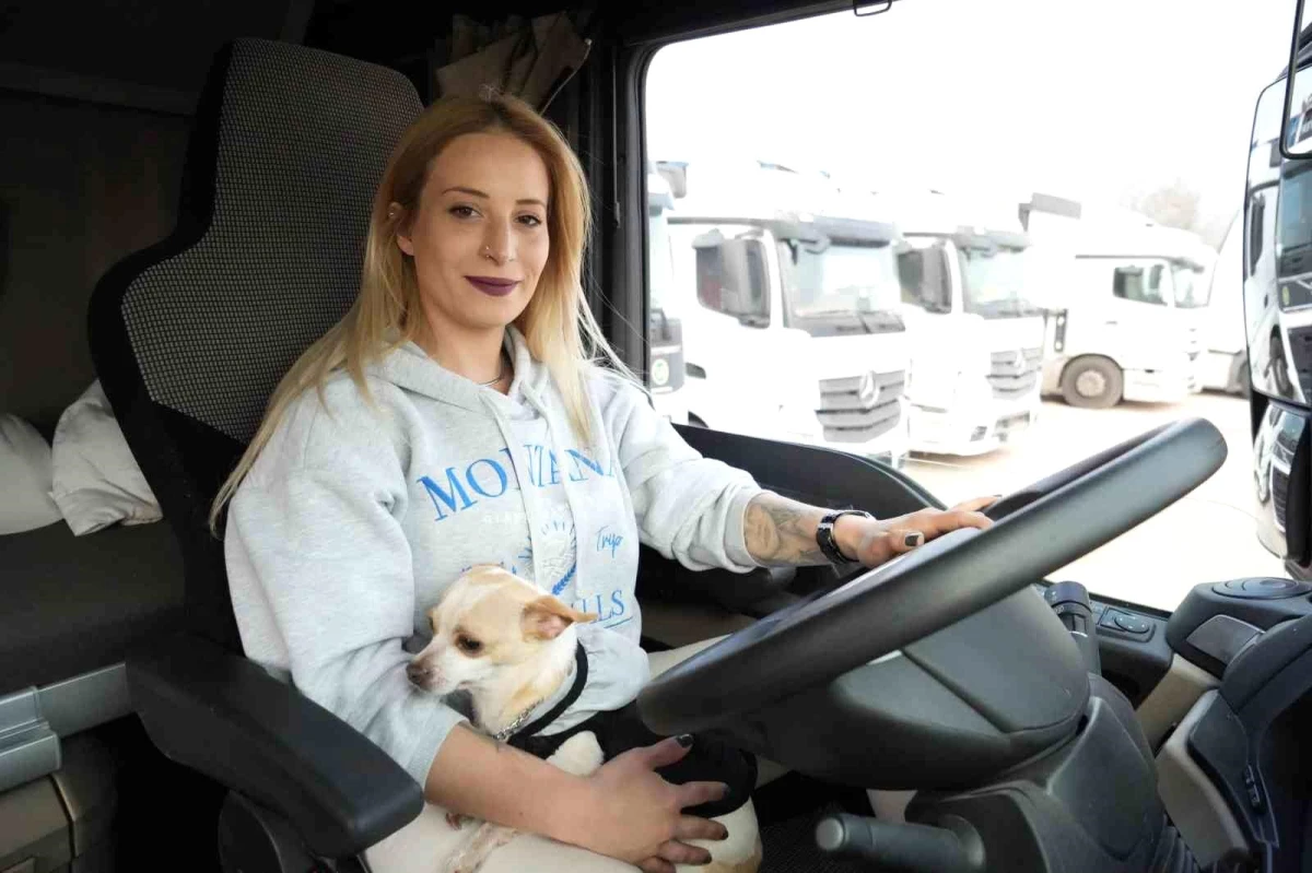 Kocaeli'de Tır Şoförü İmge Okur, Köpeğiyle Şehirler Arasında Mekik Dokuyor